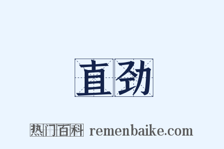 直劲是什么意思的图片